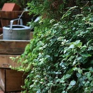 Garden 3* Kyōto